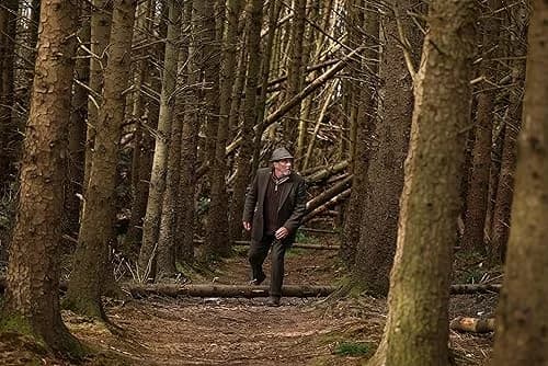 The Three Urns film posteri